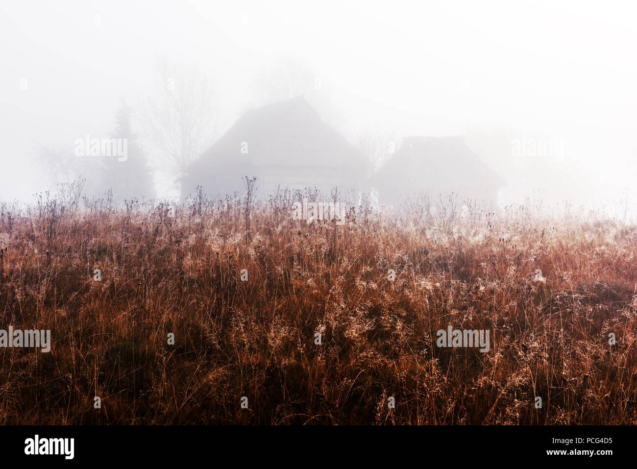 Solos en casa pradera niebla Foto de stock