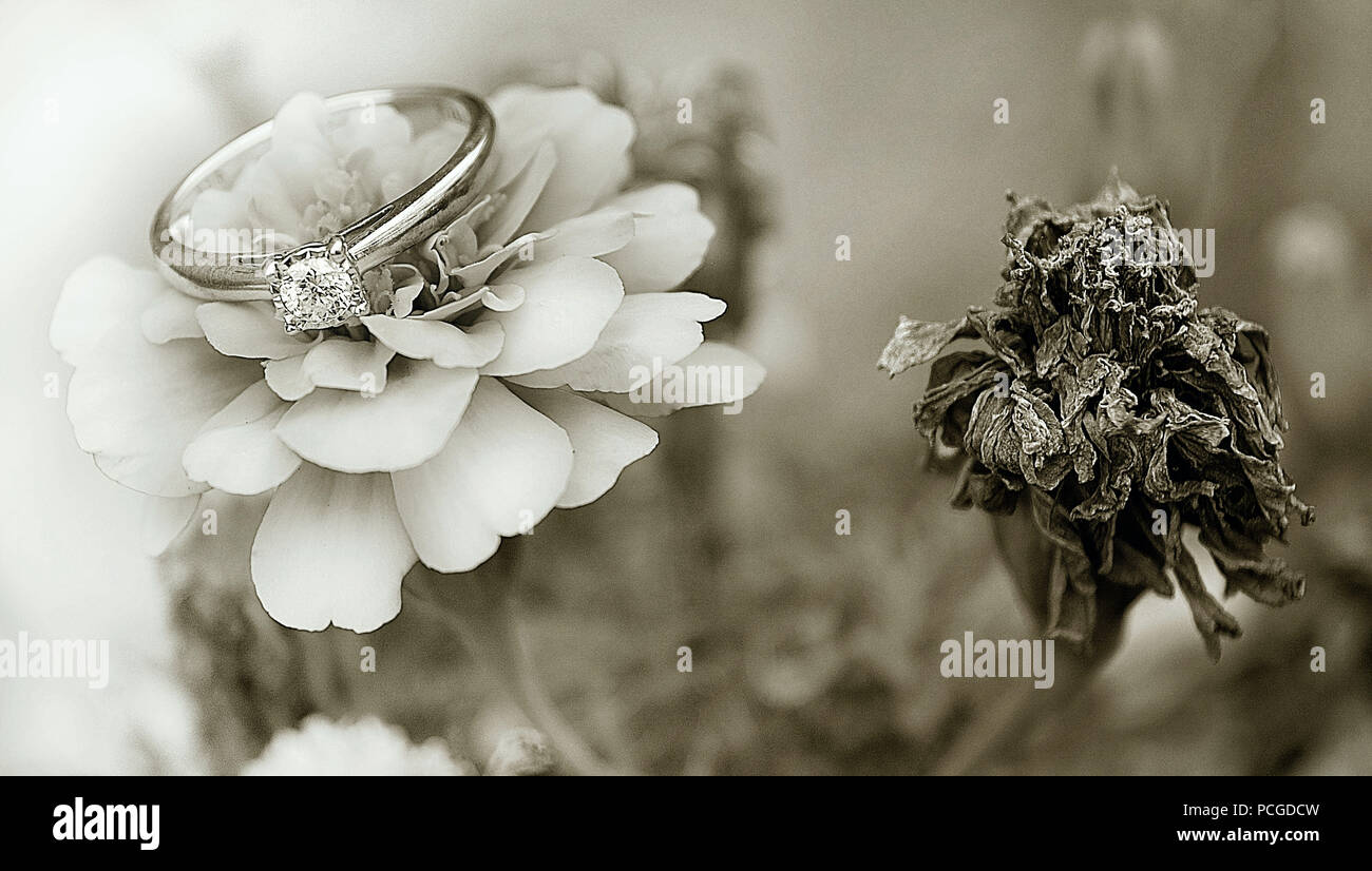 Anillo de compromiso y flores Fotografía de stock - Alamy