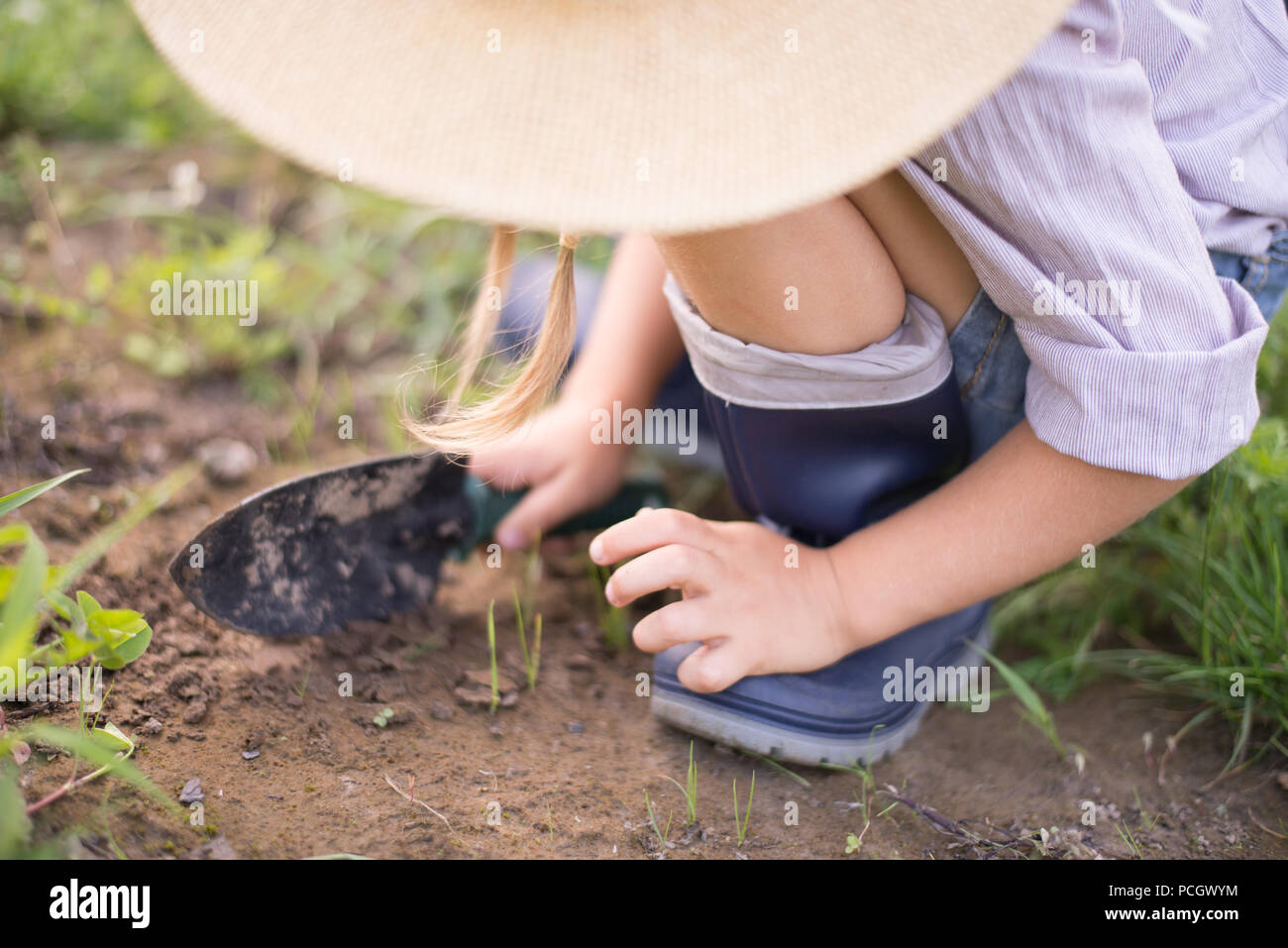 Chica tomate de cosecha durante el otoño la jardinería Foto de stock