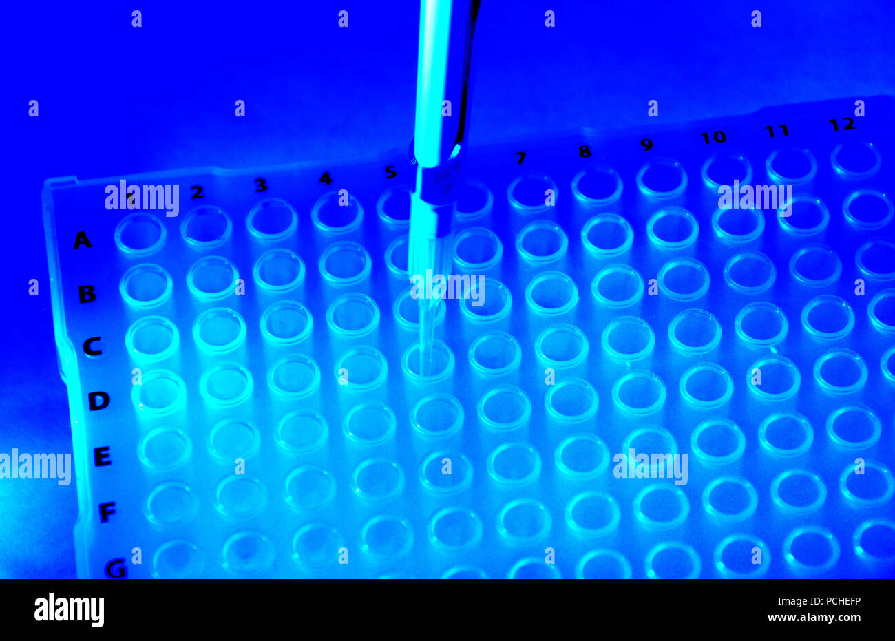 El ADN de la investigación científica para el desarrollo de fármacos para tratar la enfermedad de Alzheimer y cáncer, Tucson, Arizona, EE.UU. Foto de stock