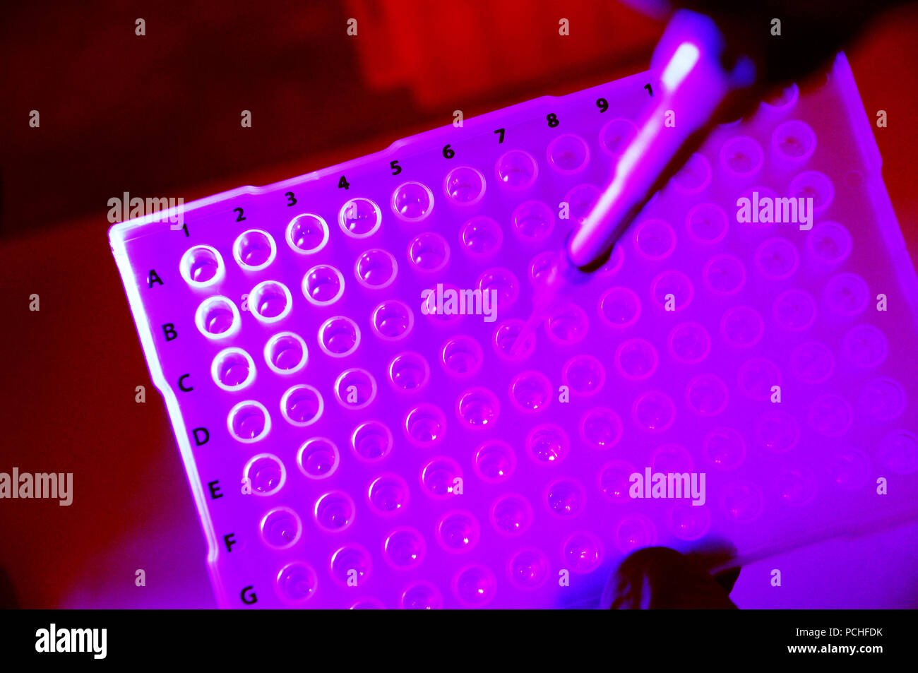 El ADN de la investigación científica para el desarrollo de fármacos para tratar la enfermedad de Alzheimer y cáncer, Tucson, Arizona, EE.UU. Foto de stock