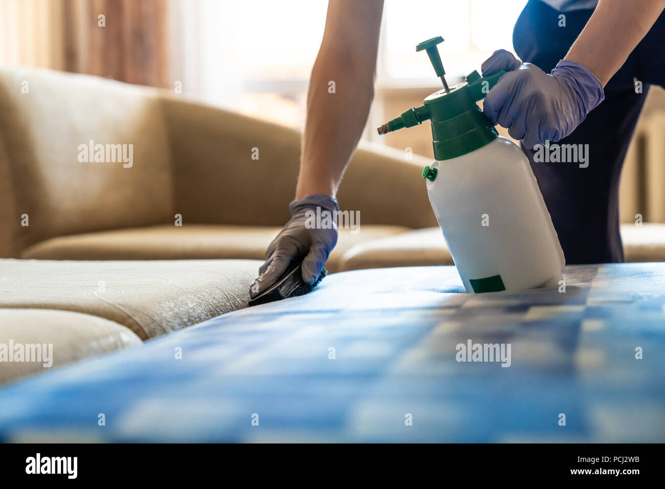 Acercamiento de sofás tapizados limpieza química Foto de stock