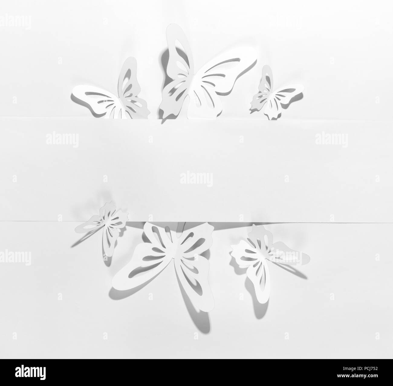 Papel mariposa decoracion fotografías e imágenes de alta resolución - Alamy
