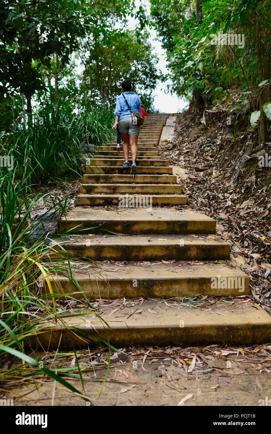 Una mujer subir un tramo de escaleras para Panjoo Lookout, Cardwell, Queensland, Australia Foto de stock