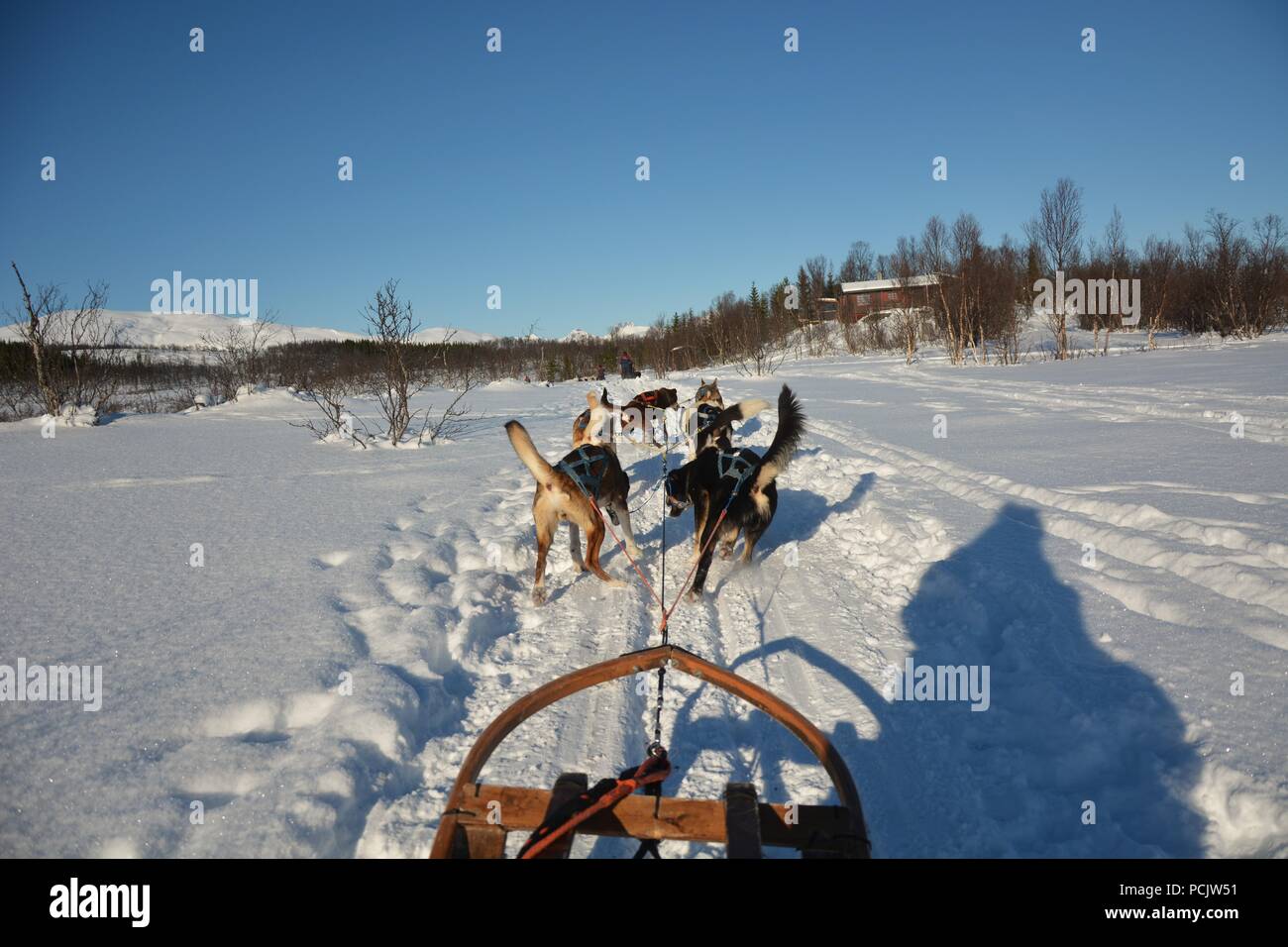 Excursión de trineos de perros en un frío día de invierno y frío en las  montañas de Tromso Fotografía de stock - Alamy