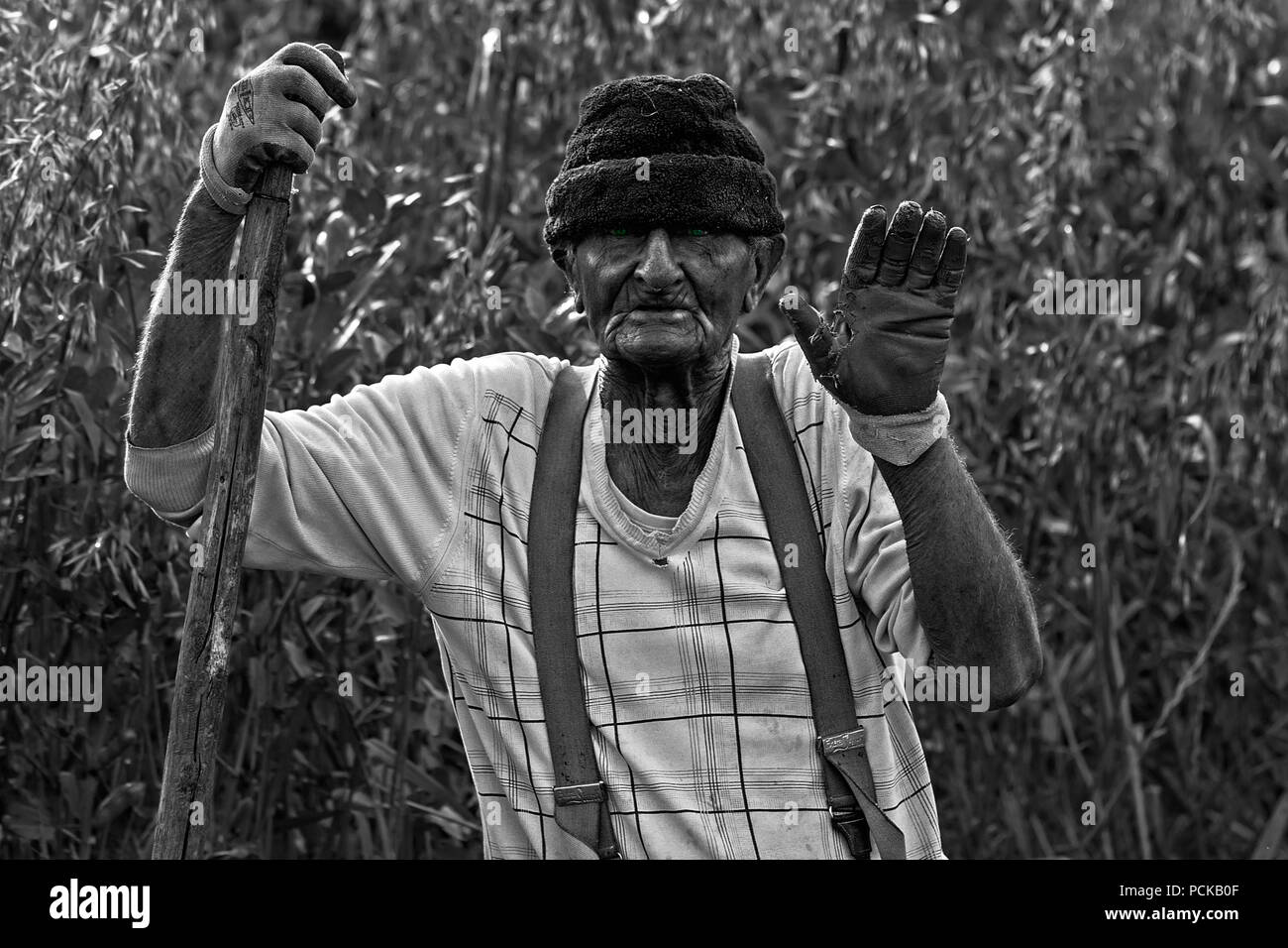 Campesinos, Italia Foto de stock