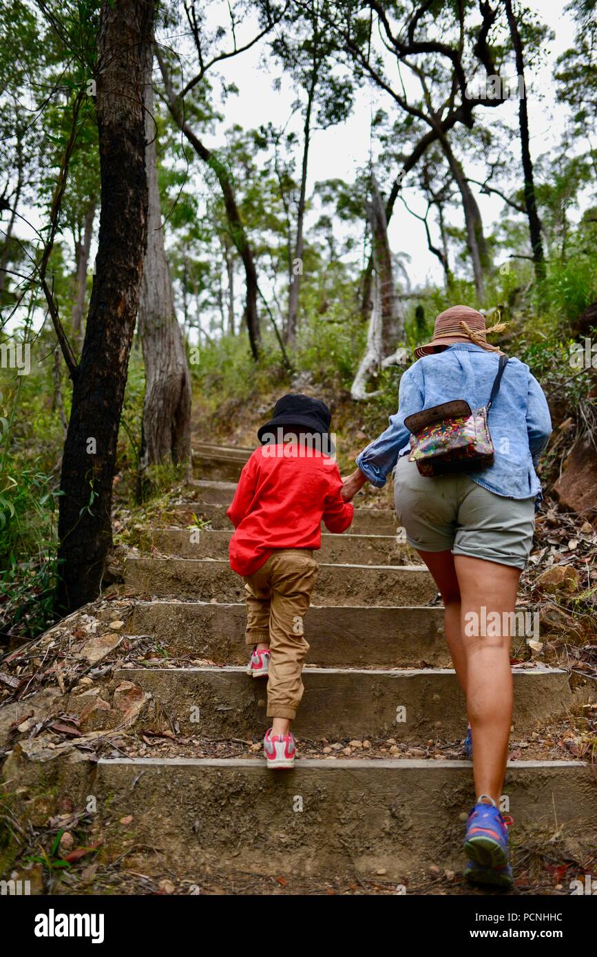 La madre camina con los niños a través de un bosque, Cardwell, Queensland, Australia Foto de stock