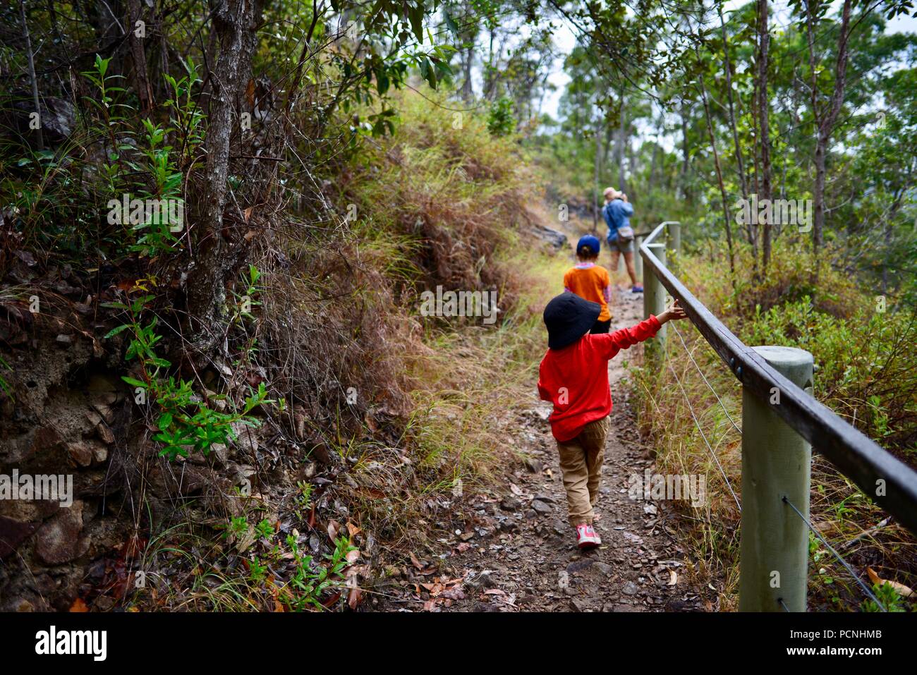 La madre camina con los niños a través de un bosque, Cardwell, Queensland, Australia Foto de stock