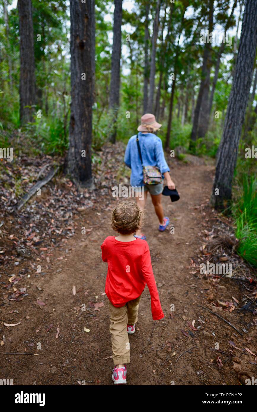 La madre camina con los niños a través de un bosque, Cardwell, Queensland, Australia Foto de stock