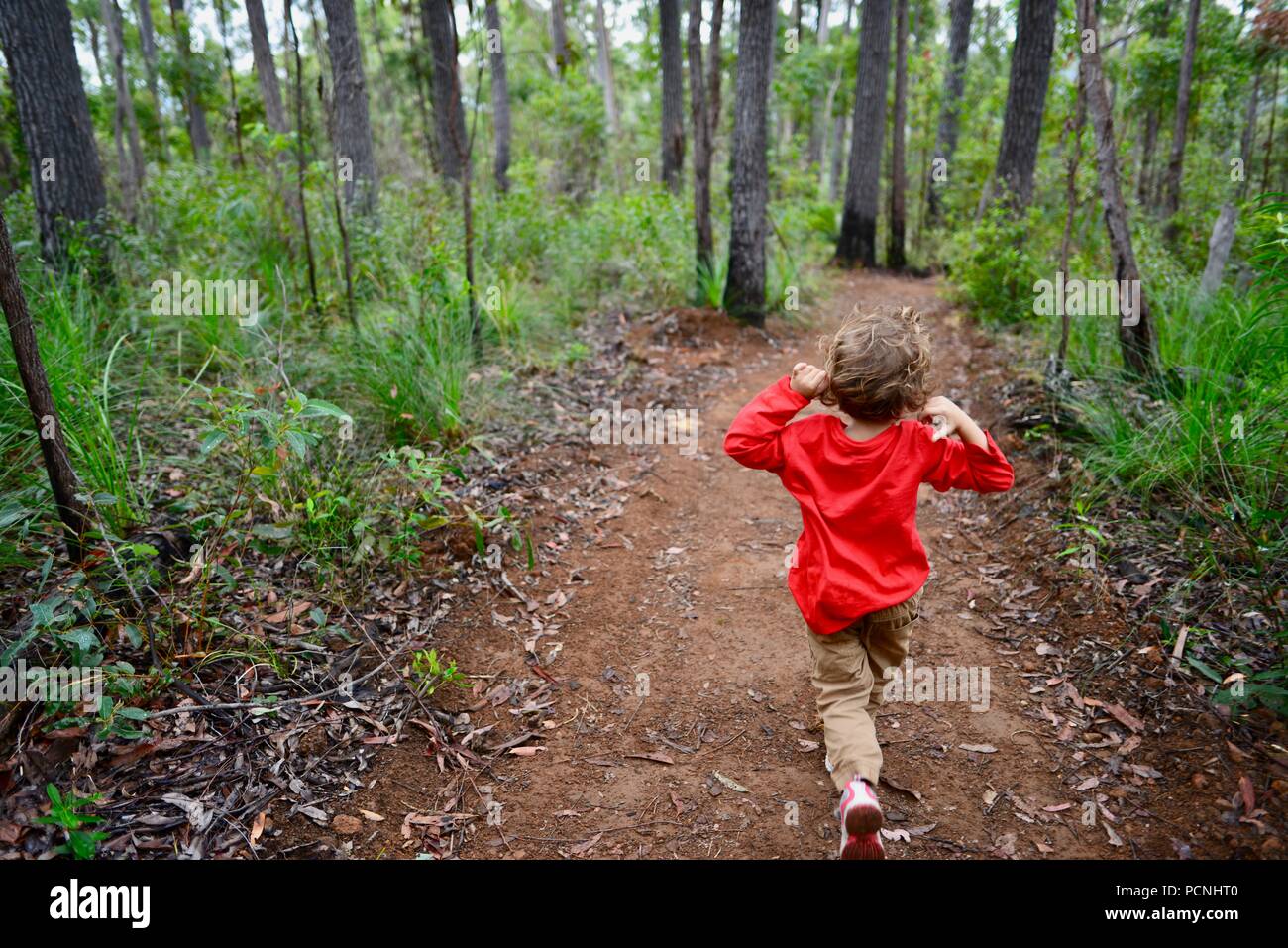 Un niño corre a través de un bosque, Cardwell, Queensland, Australia Foto de stock