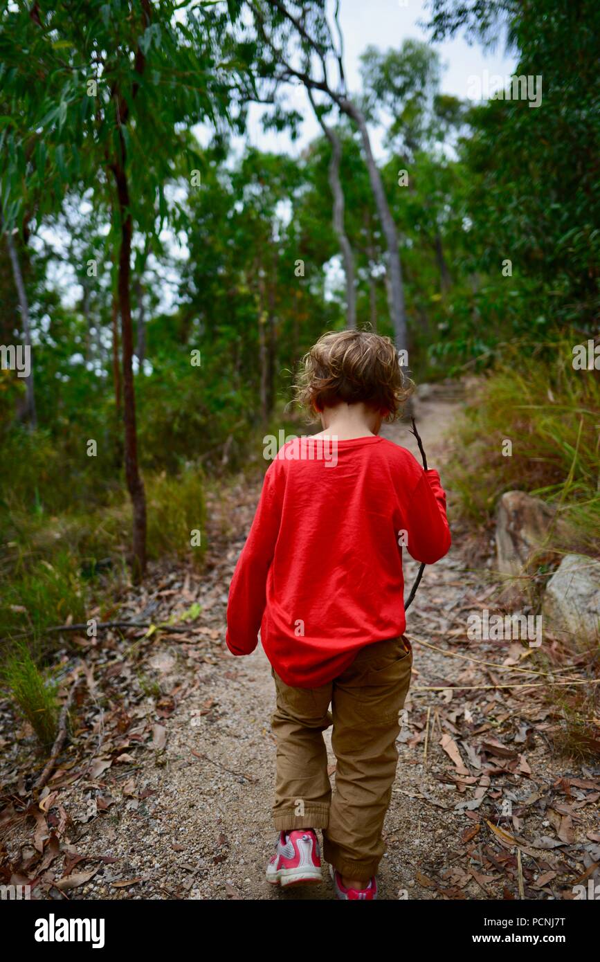 Los niños caminando a través de un bosque, Cardwell, Queensland, Australia Foto de stock