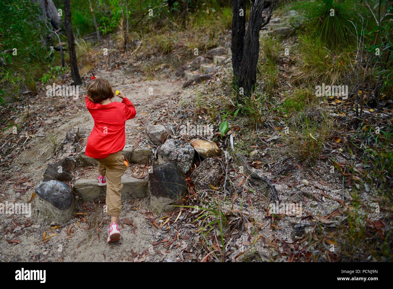 Los niños caminando a través de un bosque, Cardwell, Queensland, Australia Foto de stock