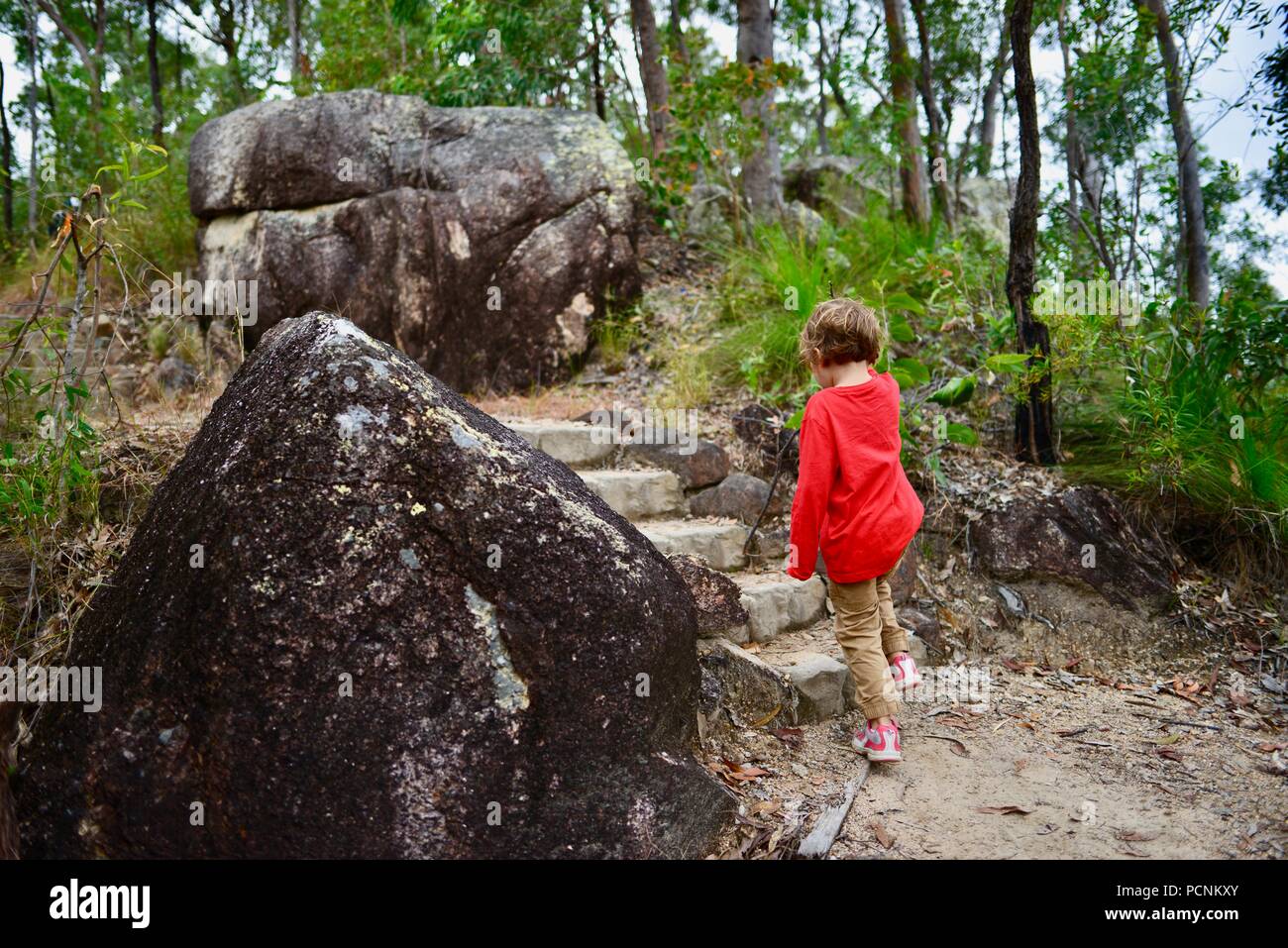 Un niño solitario caminando a través de un bosque, Cardwell, Queensland, Australia Foto de stock