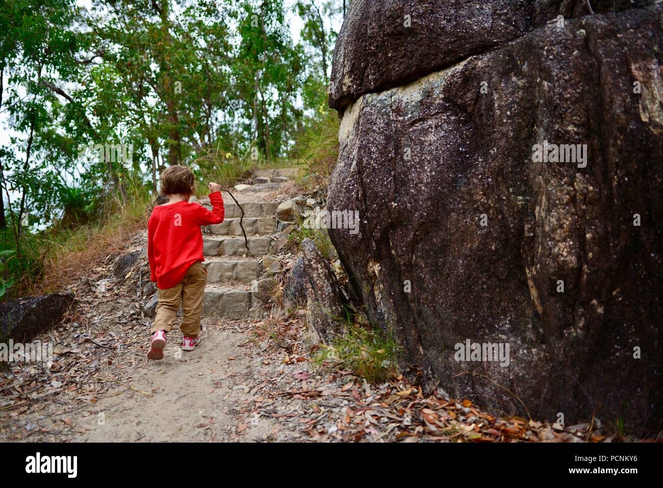 Un niño solitario caminando a través de un bosque, Cardwell, Queensland, Australia Foto de stock