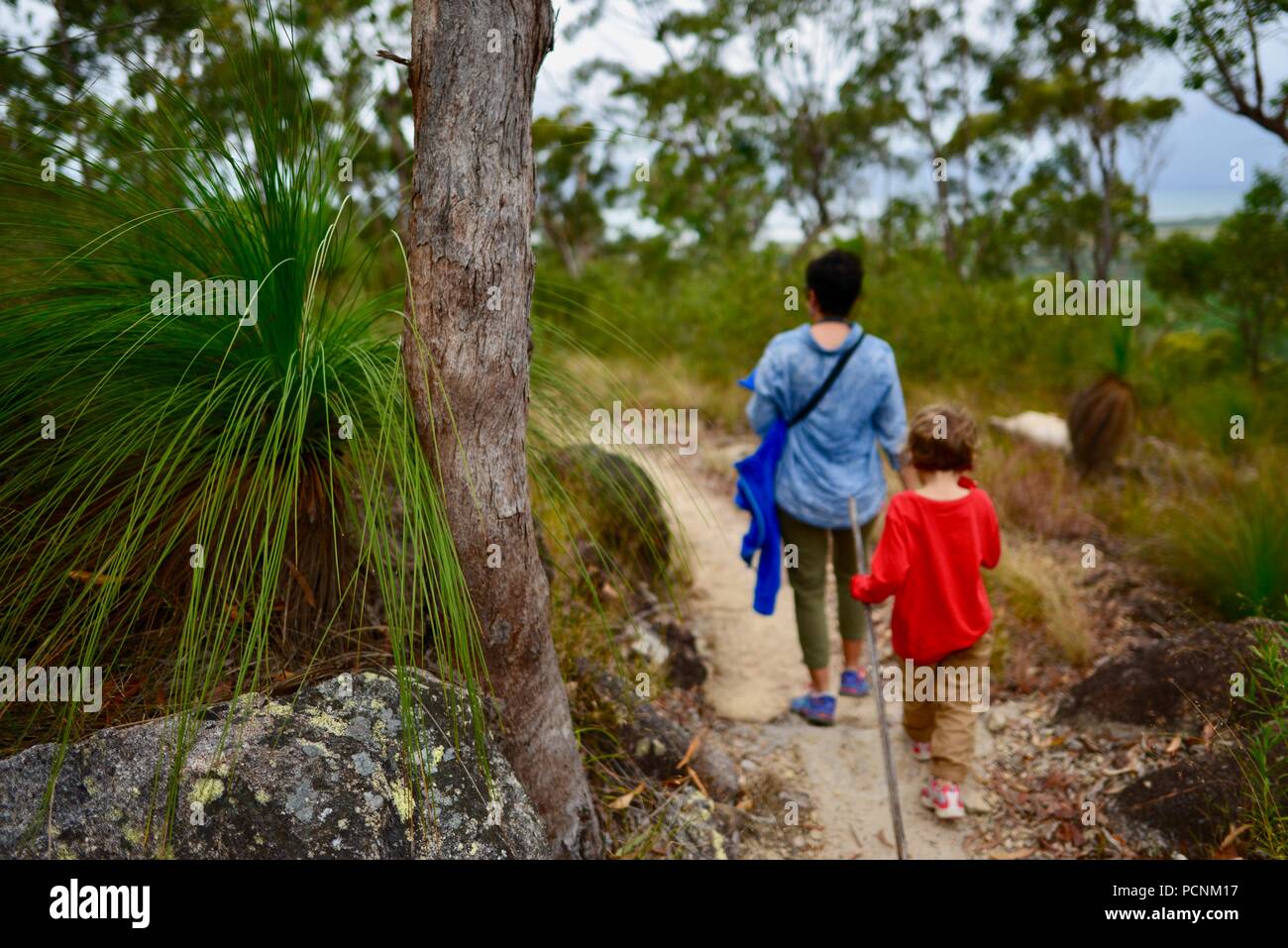 La madre camina con los niños a través de un bosque, Cardwell, Queensland, Australia Foto de stock