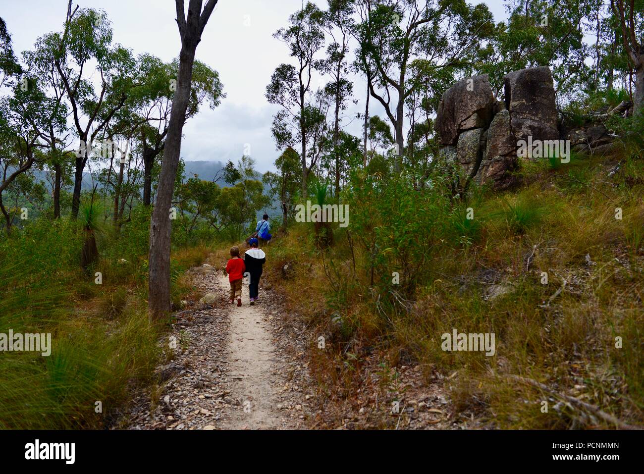 La madre camina con los niños a través de un bosque, Cardwell, Queensland, Australia Foto de stock