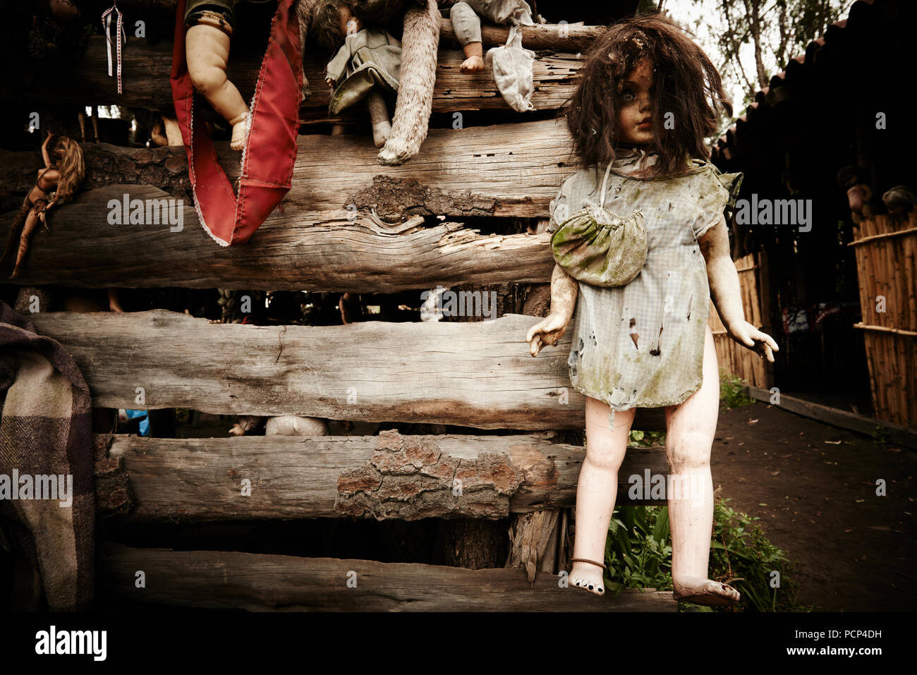 Muñecas de la Isla de las Muñecas, la isla de las muñecas de Xochimilco,  México Fotografía de stock - Alamy