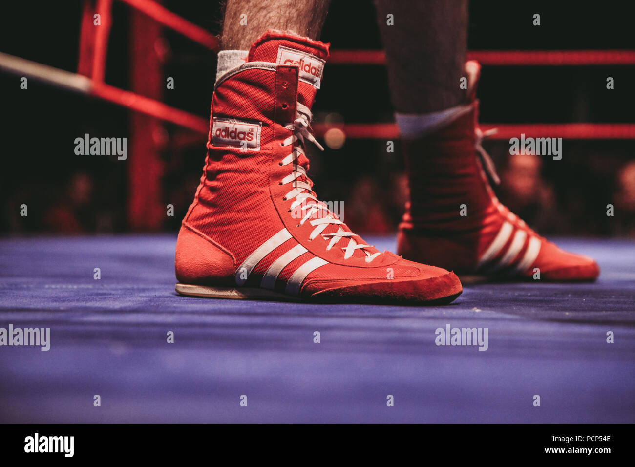 Un primer plano de un boxeador de botas rojas, mientras que de pie en el  ring esperando a luchar en un combate de boxeo Fotografía de stock - Alamy