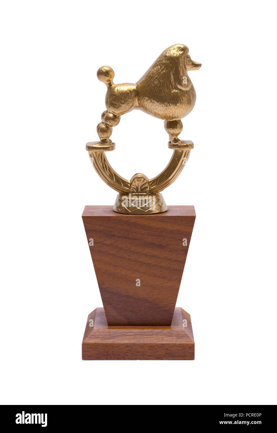Oro Trofeo perro aislado sobre un fondo blanco. Foto de stock