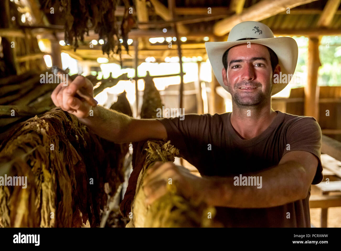 Productores de Tabaco, el tabaco agricultor Luis Manne Alvares Rodrigues se fuma un habano, granja de tabaco en Viñales, Valle de Viñales, Cuba, Pinar del Río, Cuba Foto de stock