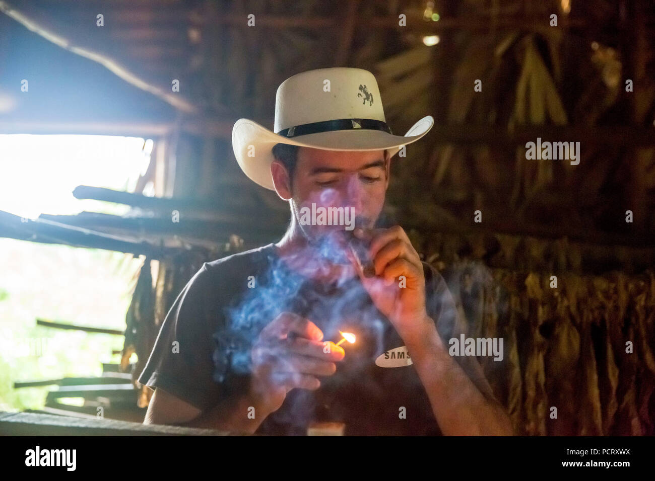 Productores de Tabaco, el tabaco agricultor Luis Manne Alvares Rodrigues enciende un habano, granja de tabaco en Viñales, Valle de Viñales, Cuba, Pinar del Río, Cuba Foto de stock