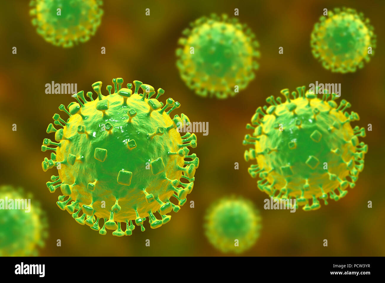 Las partículas de virus de Nipah, equipo de ilustración. El virus Nipah (zoonóticas se transmite a los seres humanos de los animales) y se encontró por primera vez en Malasia y Singapur en la gente que había estado en estrecho contacto con los cerdos. Inicialmente fue aislada en 1999 tras examinar muestras de un brote de encefalitis y enfermedades respiratorias entre los hombres adultos en esos dos países. Foto de stock