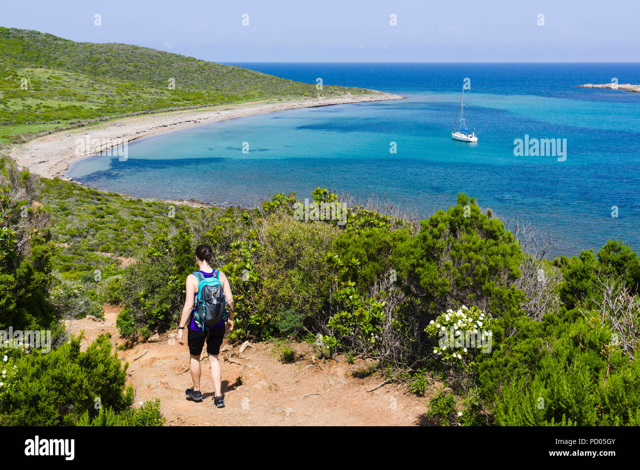 Sentier des Douaniers, senderos, Cap Corse, Córcega, Francia Foto de stock