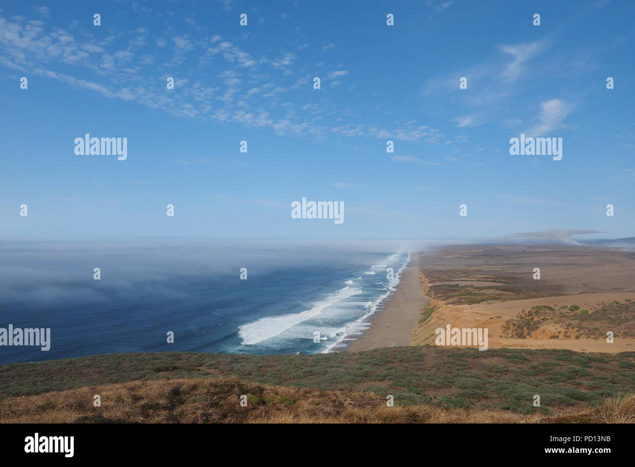 Mirando las olas rompiendo en la playa de Point Reyes National Seashore en el norte de California, con la niebla empieza a rodar. Foto de stock