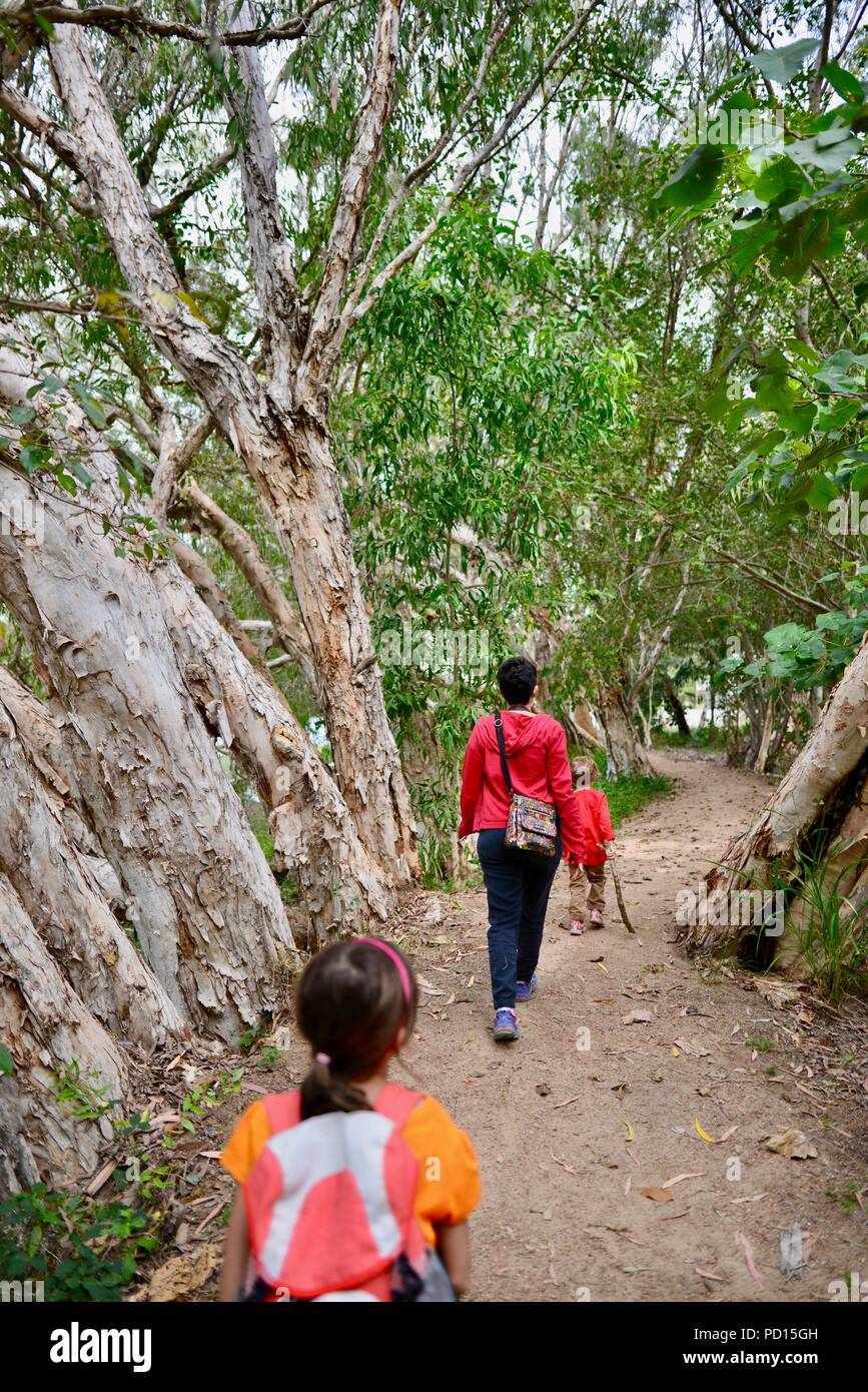 Una madre camina con sus hijos a través de un bosque, Booroona sendero en el Ross River, Rasmussen QLD 4815, Australia Foto de stock