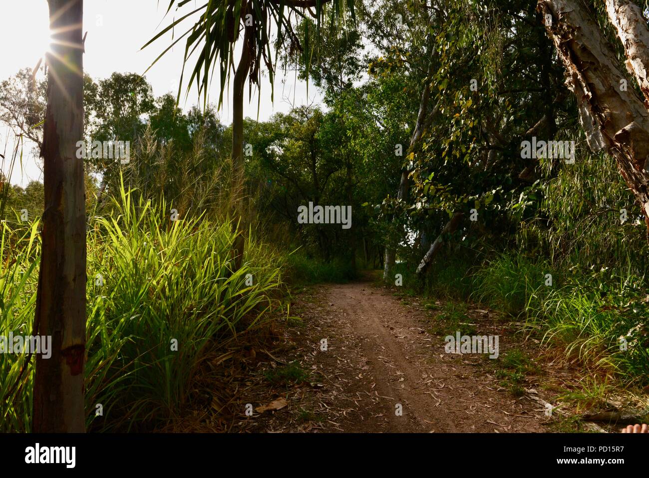 Booroona sendero en el Ross River, Rasmussen QLD 4815, Australia Foto de stock
