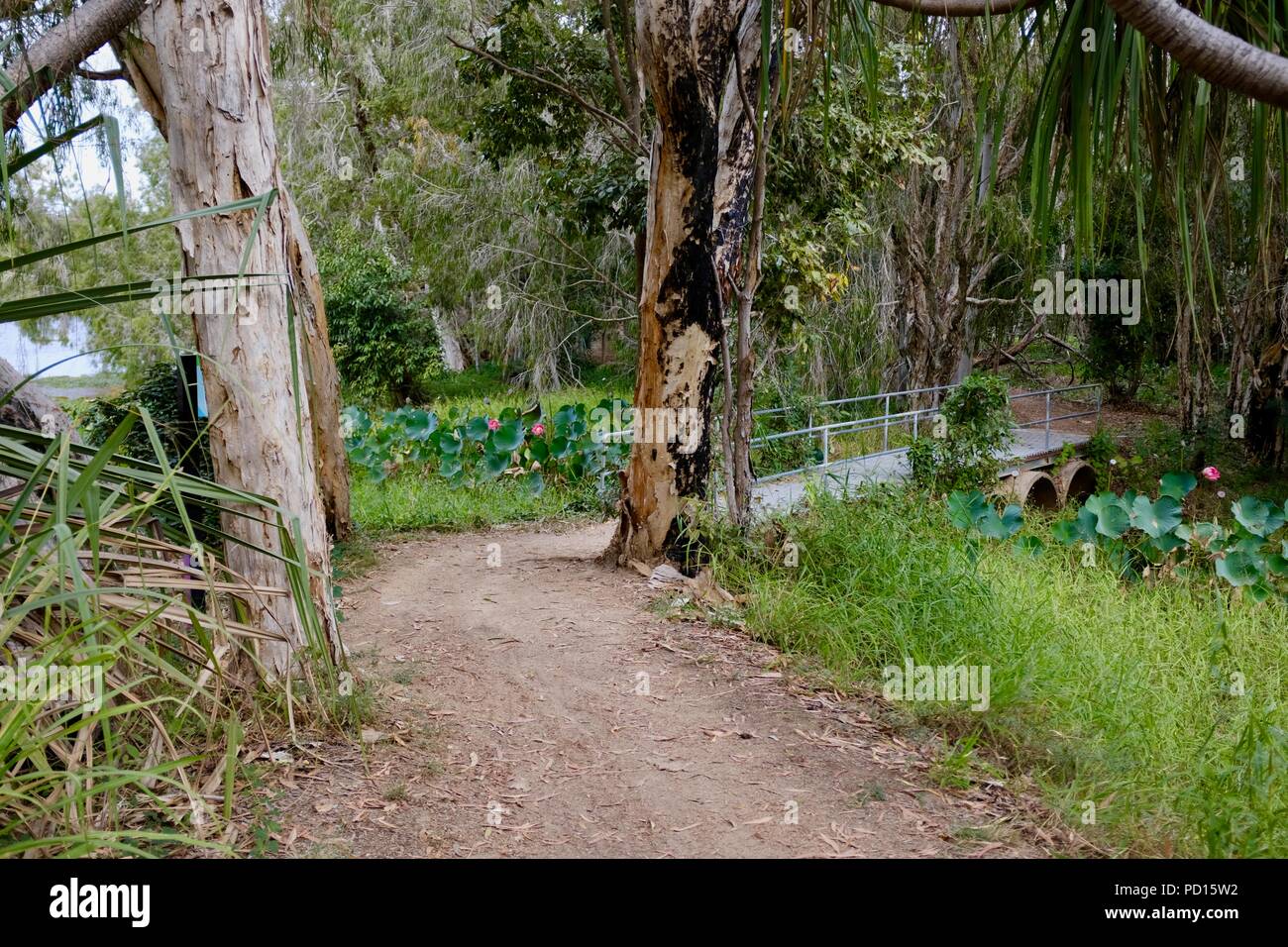 Un pequeño puente que cruza un río rama, Booroona sendero en el Ross River, Rasmussen QLD 4815, Australia Foto de stock