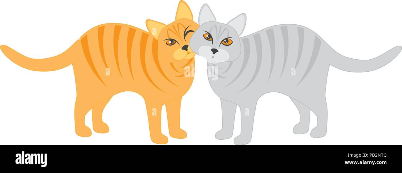 Par de calicó y tabby gatos Snuggling aislado sobre fondo blanco ilustración Ilustración del Vector