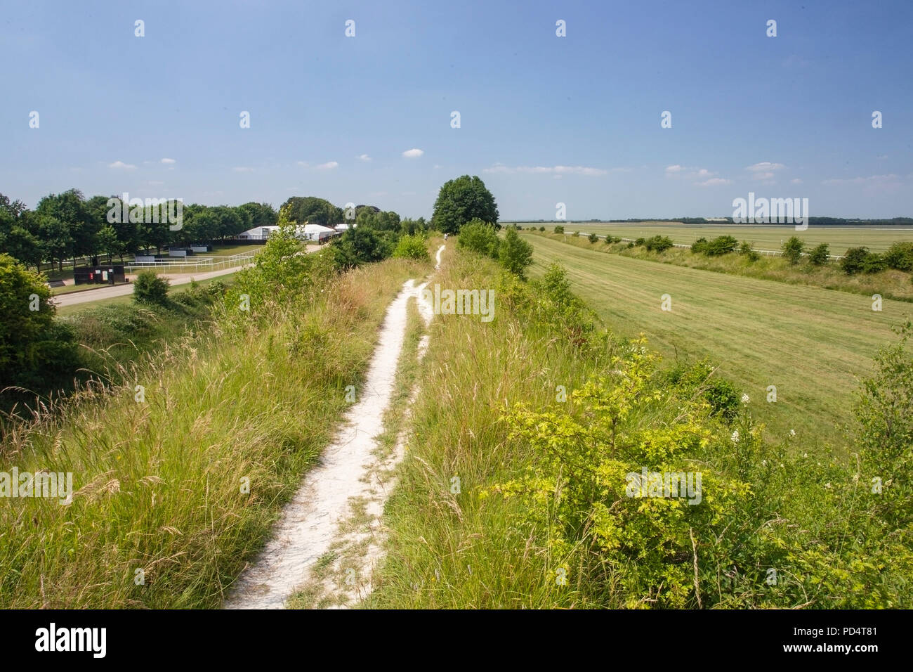 Vista de Devil's Dyke en Cambridgeshire, cerca del hipódromo de Newmarket Foto de stock