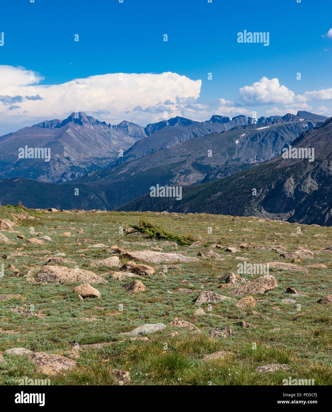 Colorado Rockies, soleado con el rock en el campo delante, espectaculares montañas detrás de azul-gris, y el brillante cielo azul, con nubes hinchadas. Foto de stock
