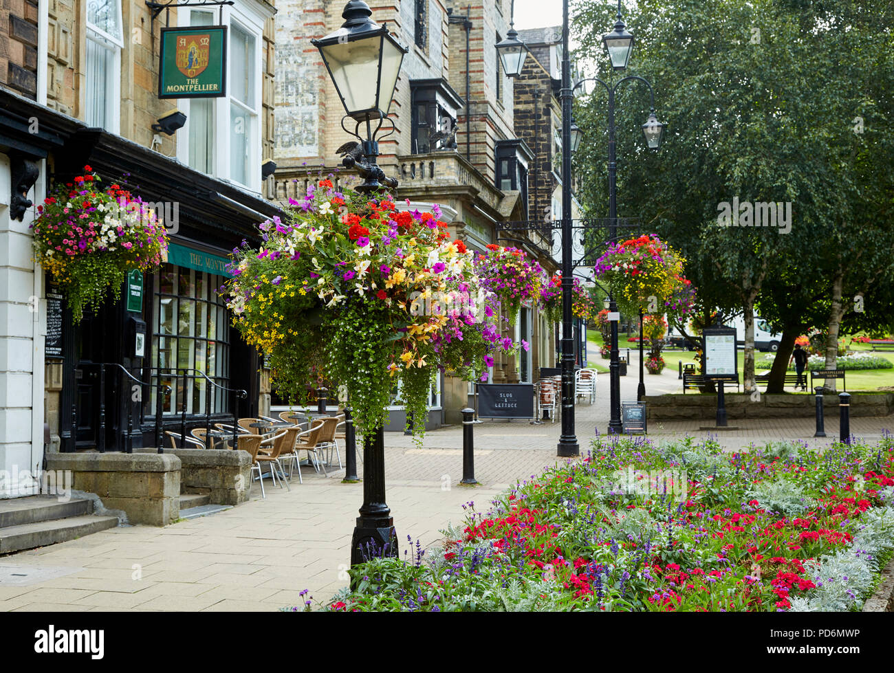 Montpellier Trimestre, Harrogate con farolas de hierro fundido y cestas colgantes florales encantadora en un ambiente elegante y cosmopolita, el área de compras. Foto de stock