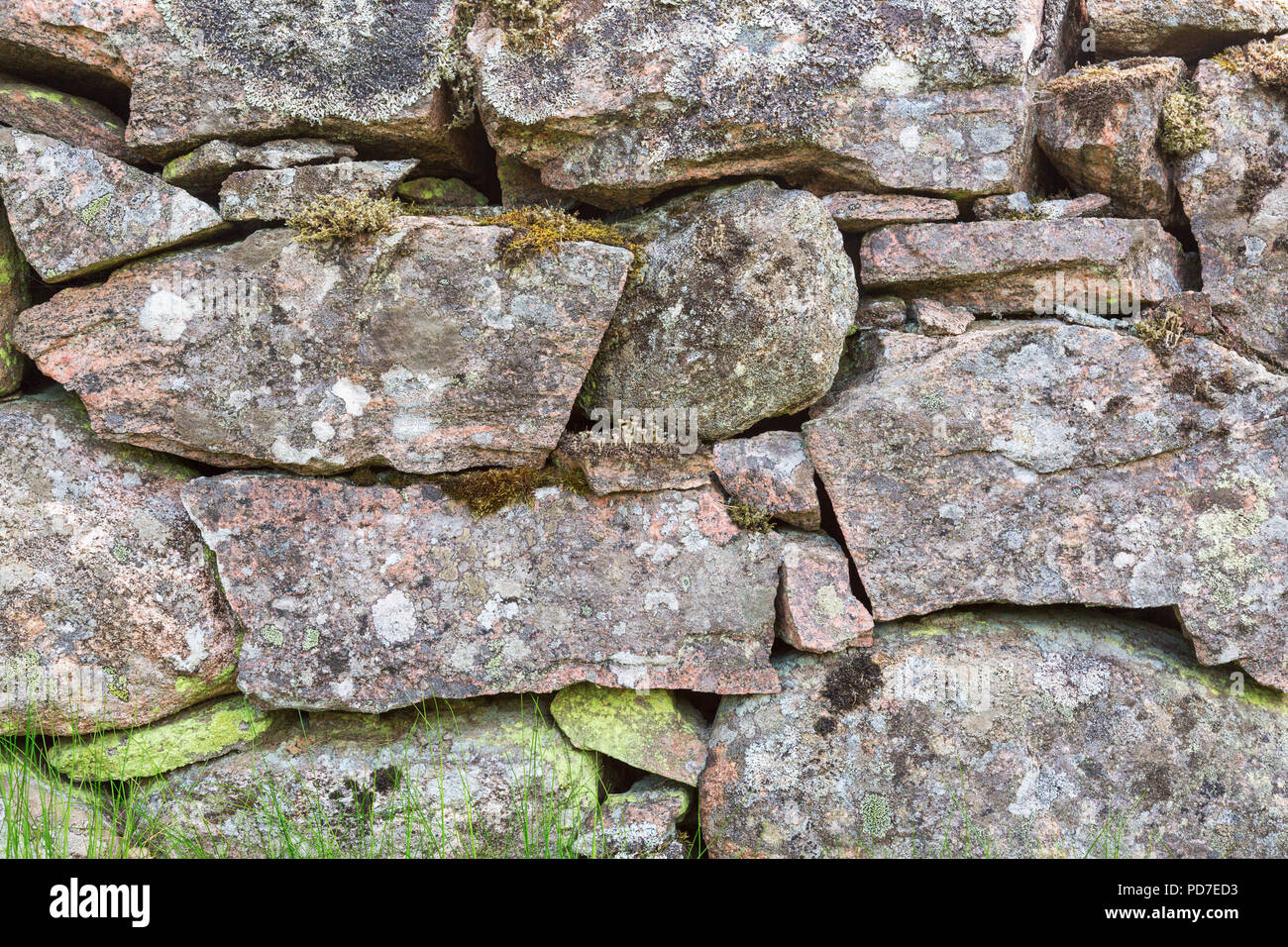 Muro De Pedra Com Musgo E Plantas Verdes. Captura De Reforço Da Via De  Cobertura. Pavimentação De Pedra Natural No Parque Próximo. Imagem de Stock  - Imagem de velho, estrutura: 262768673