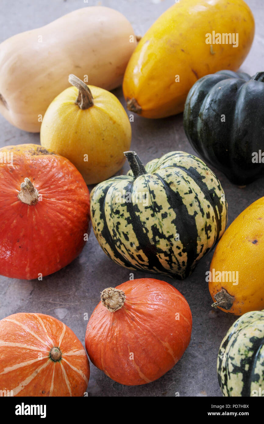 Squash Selección de verduras Foto de stock