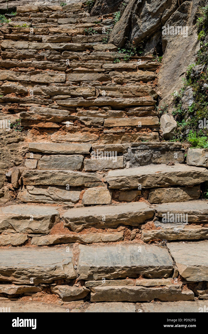 Charles Keasing Tigre Eléctrico Escaleras de piedra natural, escaleras de piedra natural y pasarela  Fotografía de stock - Alamy