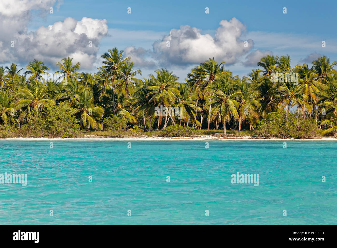 Sueño de playa, playa de arena con palmeras y el mar turquesa, cielo nublado, Parque Nacional del Este, Isla Saona, isla Caribe Foto de stock