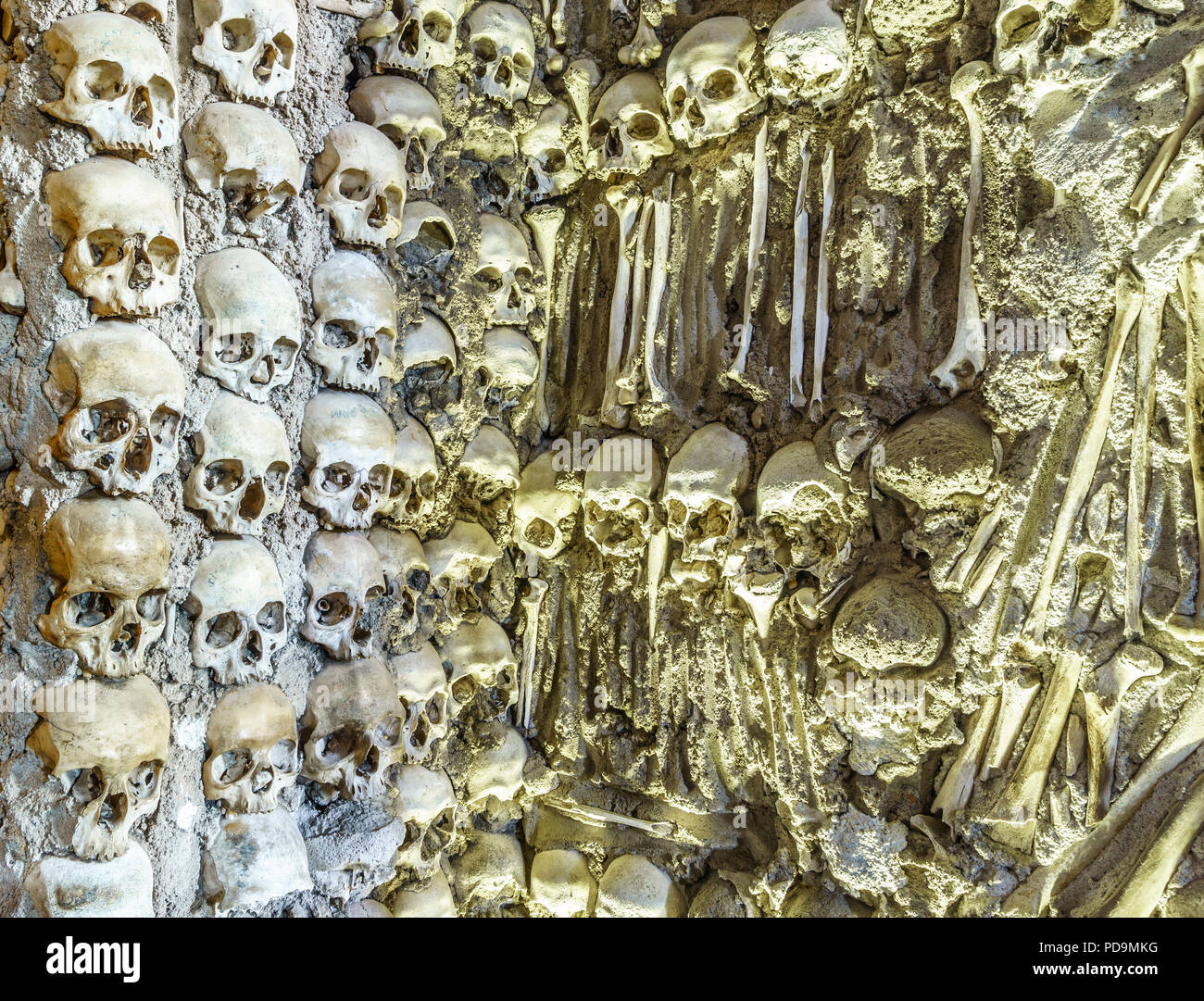 Vista cercana de las calaveras en la pared, la Capilla de los huesos en la Real Iglesia de San Francisco, Evora, Alentejo, Portugal Foto de stock
