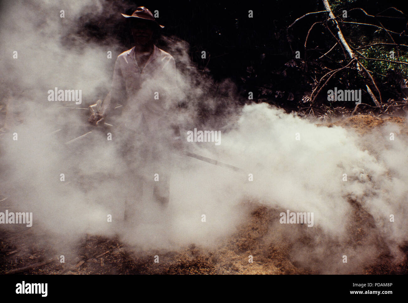 La quema de aserrín en aserradero en la ciudad de Rio Branco, estado de Acre, Amazonas, Brasil - la deforestación. Foto de stock