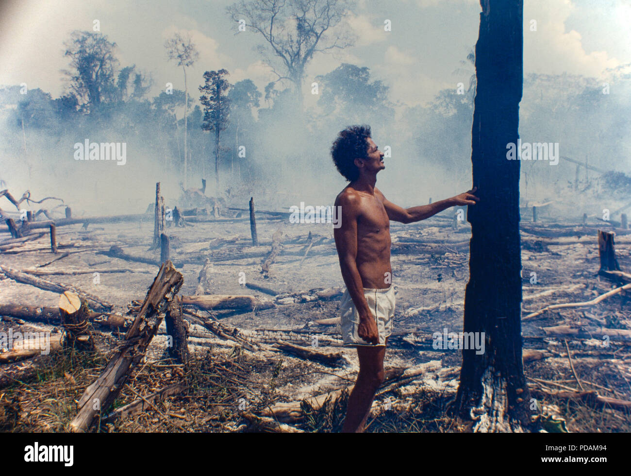 La tala, la deforestación amazónica, cortados y quemados, parche de bosque en el estado de Acre, Brasil. Foto de stock
