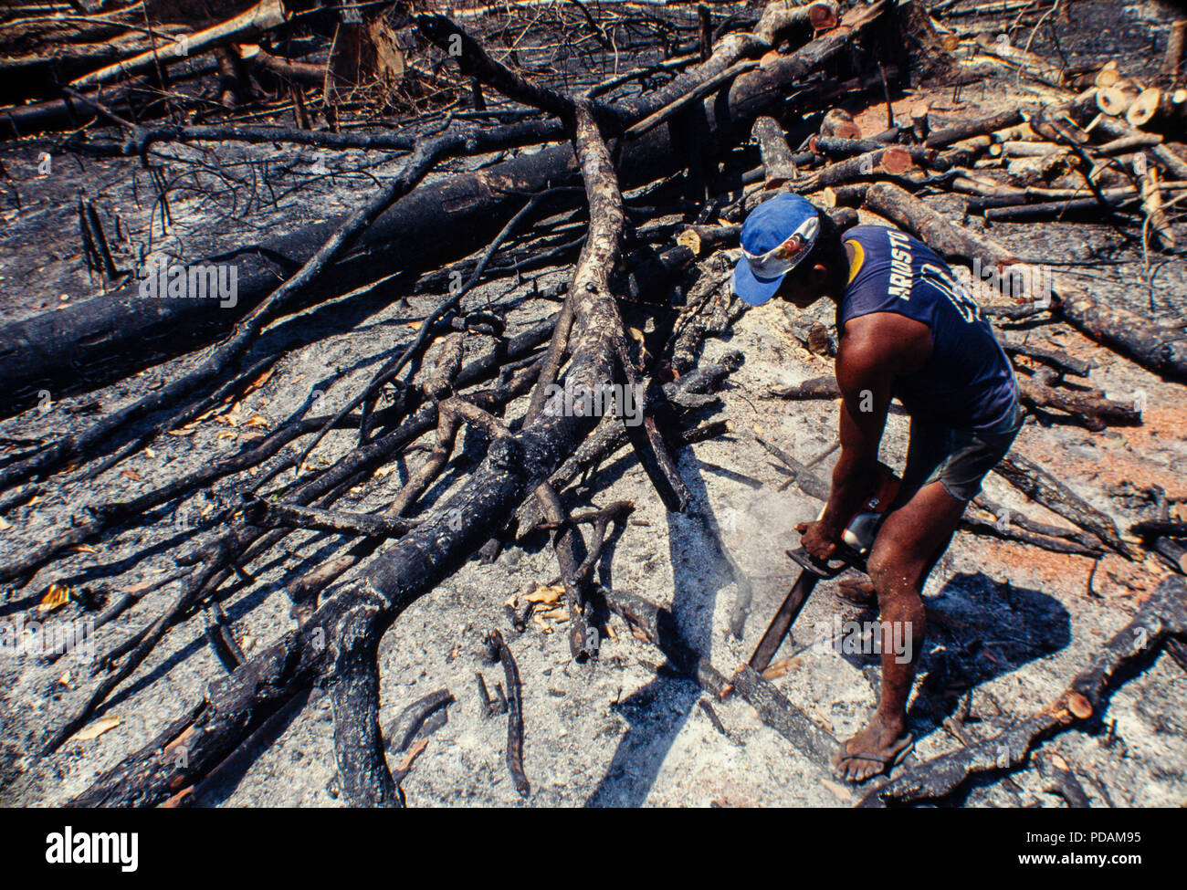 Registro, selva amazónica de minas, trabajadores cortan árboles con motosierra en un cortados y quemados, parche de bosque. El estado de Acre, Brasil. Foto de stock