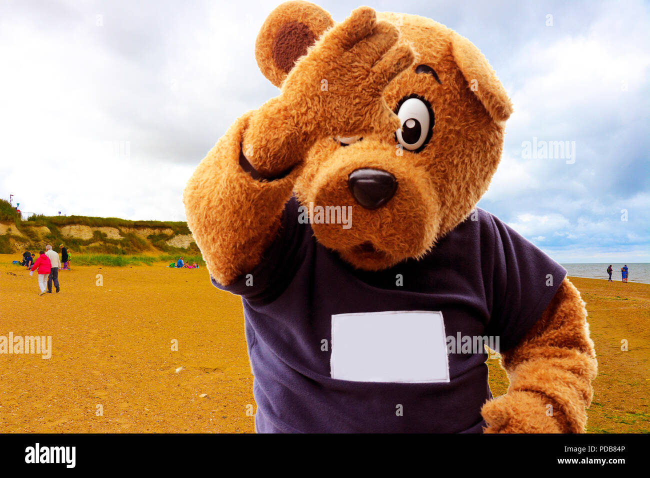 Teddy bear suit fotografías e imágenes de alta resolución - Alamy
