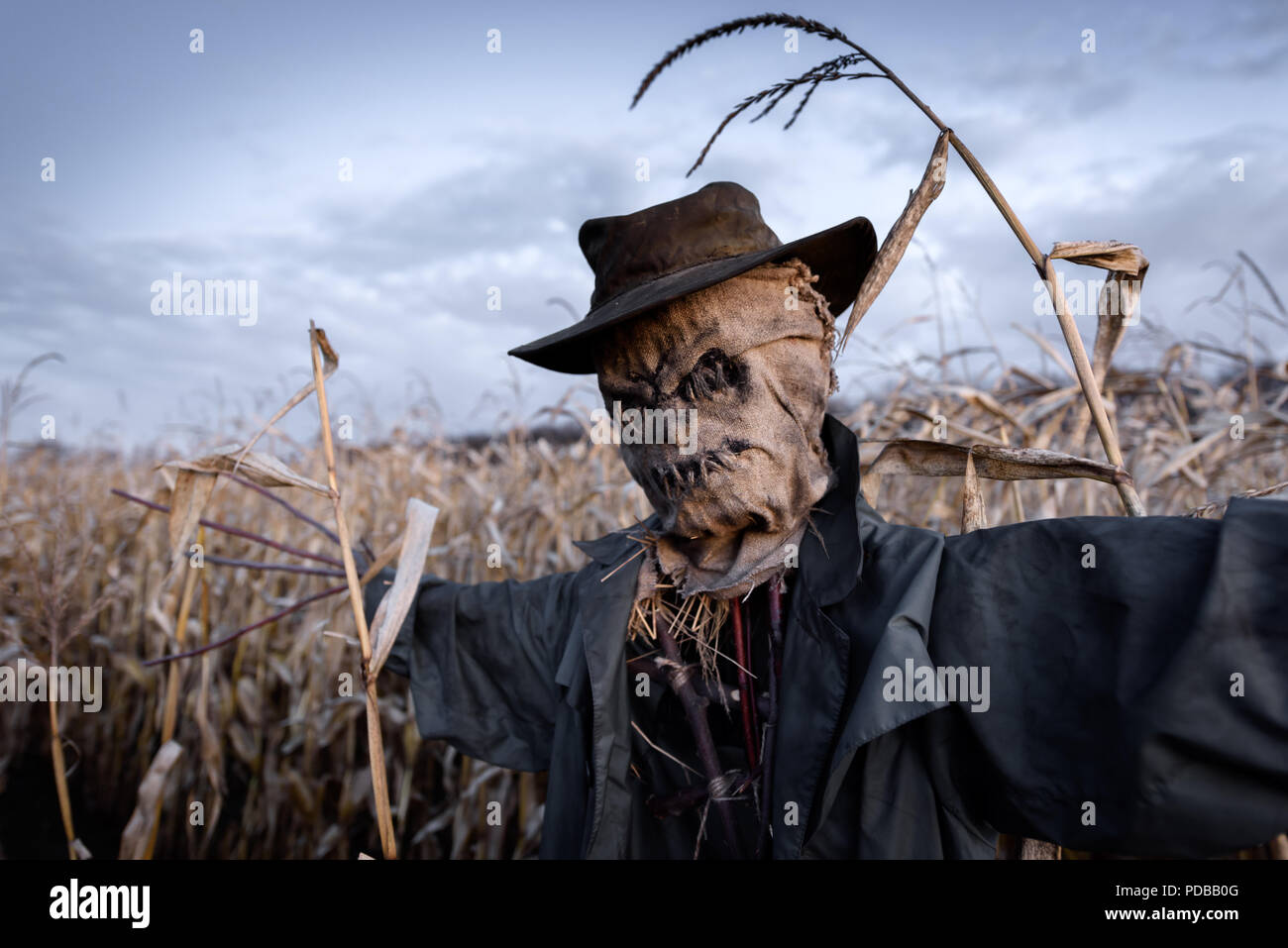 Terrorífico espantapájaros en un sombrero Foto de stock