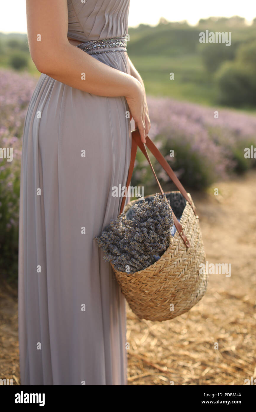Imagen recortada de mujer sosteniendo una cesta con flores en campo de lavanda violeta Foto de stock