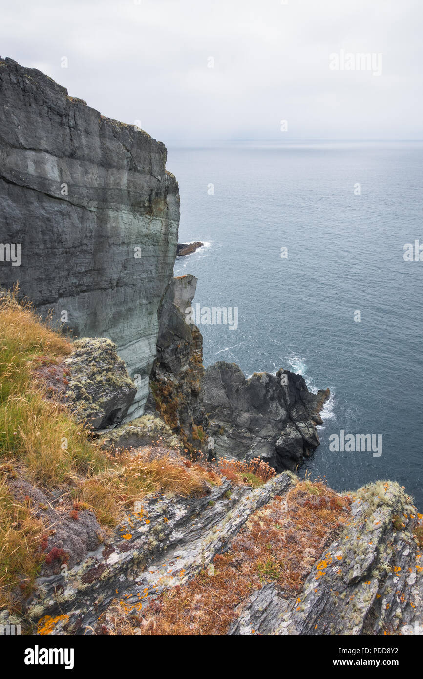 Vista del acantilado del paisaje rural de Irlanda en el océano en West Cork Foto de stock