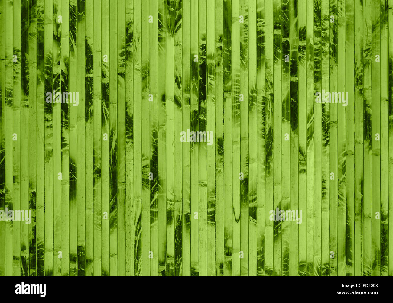 Textura de bambú verde con patrones naturales, cerrar Foto de stock