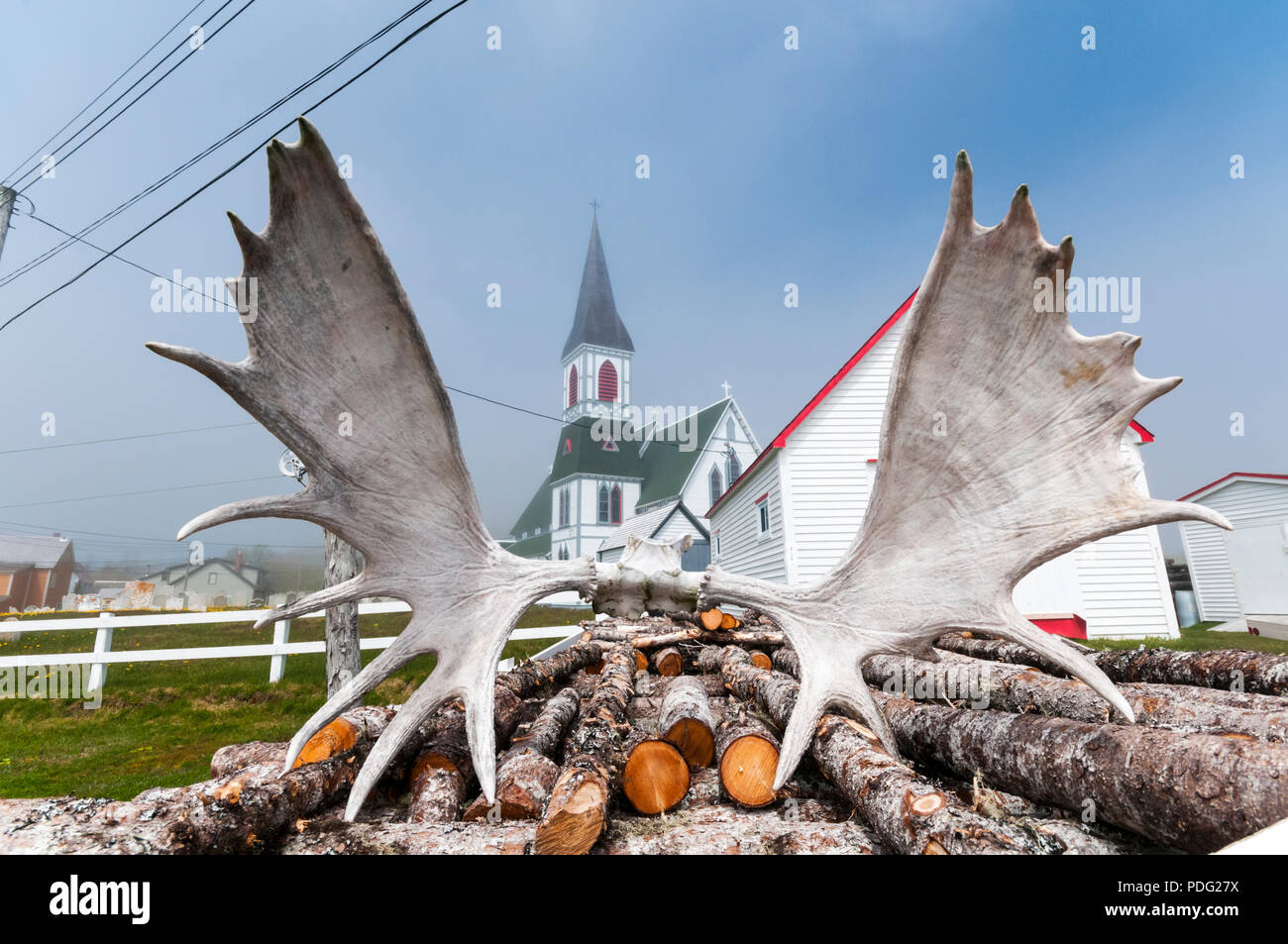 Astas de alce en un montón de registro en frente de la Iglesia de San Pablo, Trinidad, Terranova. Foto de stock