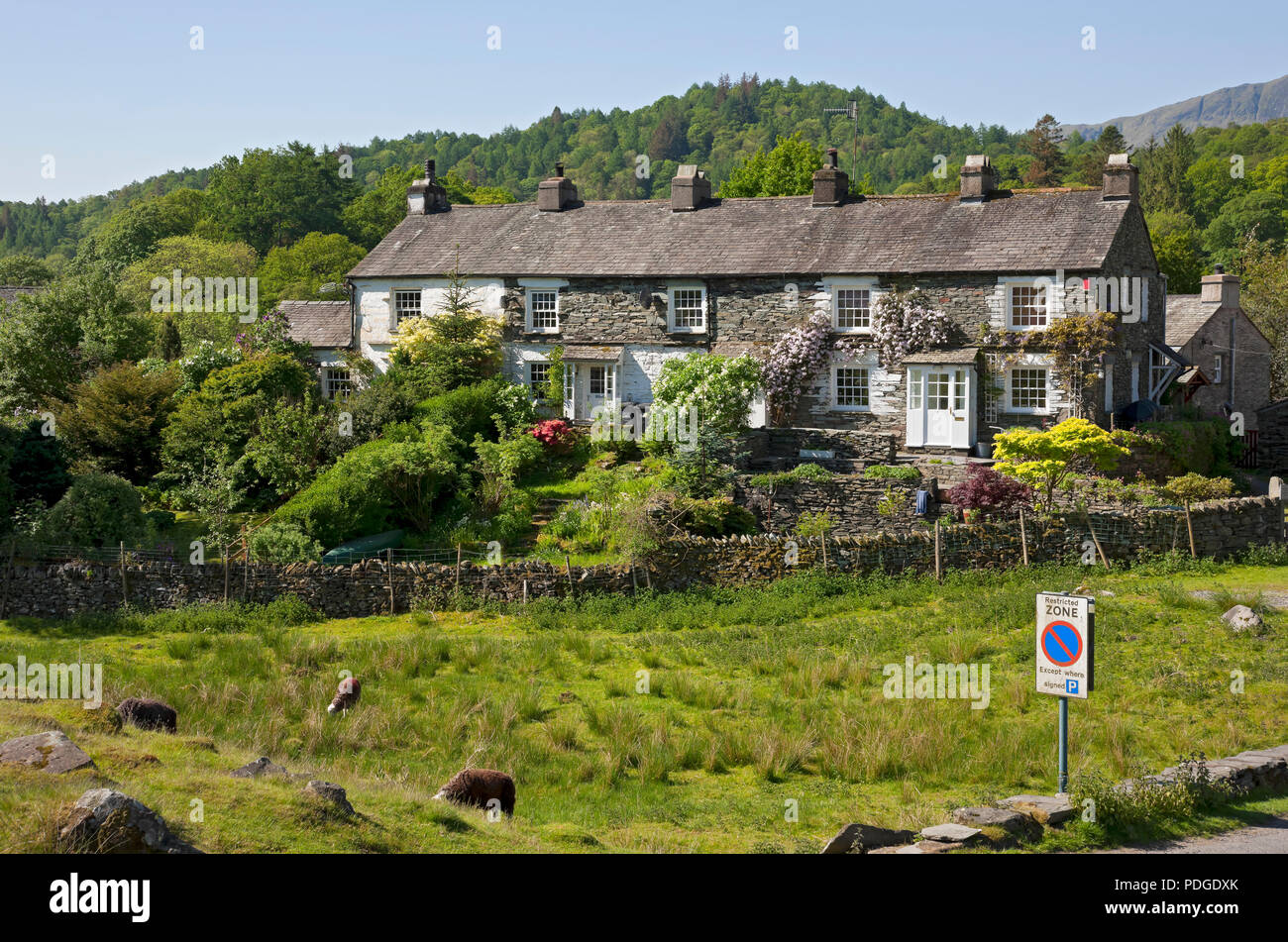 Fila de casas de campo casas en verano Elterwater pueblo Langdale Valley Cumbria Inglaterra Reino Unido GB Gran Bretaña Foto de stock